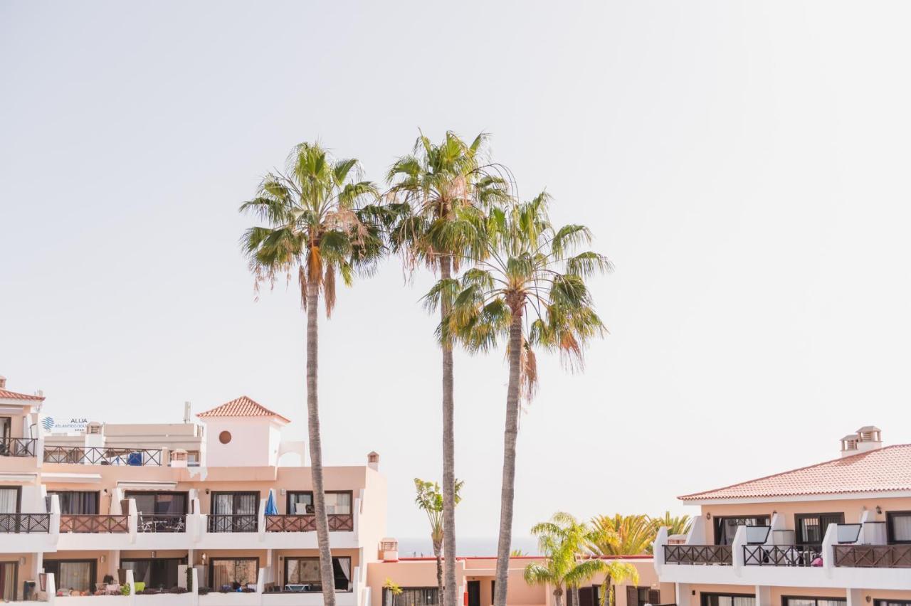Precioso Apartamento San Miguel de Abona Dış mekan fotoğraf