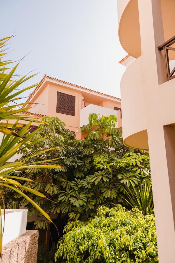 Precioso Apartamento San Miguel de Abona Dış mekan fotoğraf